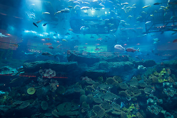 Image showing aquarium