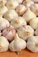 Image showing Garlic