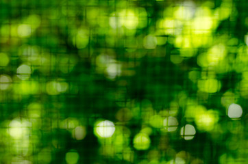 Image showing Green vegetative background through a metal lattice. Blur.