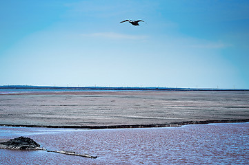 Image showing Production waste is accumulated in water