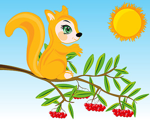 Image showing Animal squirrel on branch of rowanberry.Vector illustration