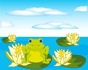 Image showing Frog sits on water lily in pond