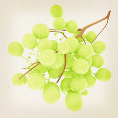 Image showing Healthy fruits Green wine grapes isolated white background. Bunc