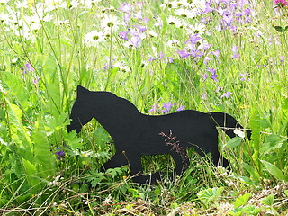 Image showing Black wooden horse among flowers