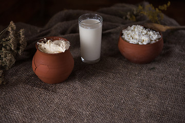 Image showing Organic milk cottage cheese and cream