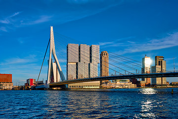 Image showing Rotterdam cityscape ,  Netherlands