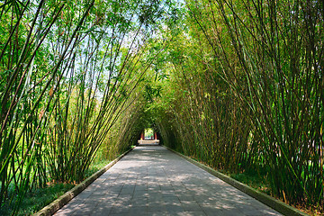 Image showing Wangjianglou park. Chengdu, Sichuan, China