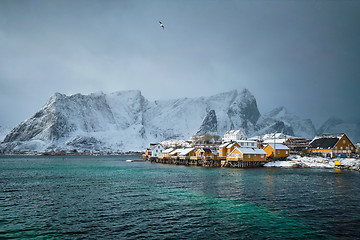 Image showing Yellow rorbu houses, Lofoten islands, Norway