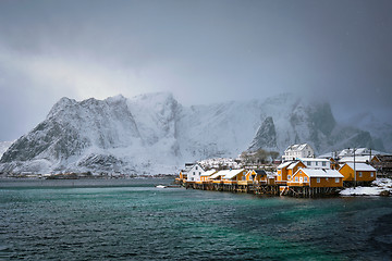 Image showing Yellow rorbu houses, Lofoten islands, Norway