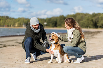 Image showing happy couple with beagle dog on autumn beach