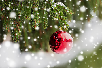 Image showing red christmas ball on fir tree branch with snow