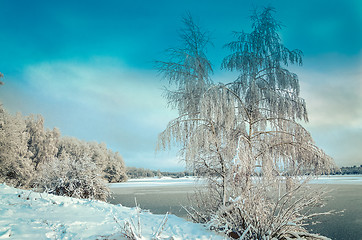 Image showing Winter landscape with trees, covered with hoarfrost and lake vie