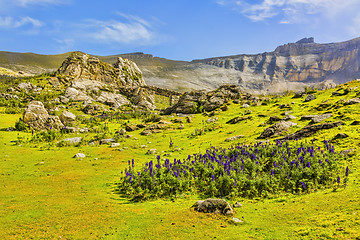 Image showing The Circus of Troumouse - Pyrenees Mountains