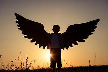 Image showing Little boy playing with cardboard toy wings in the park at the s