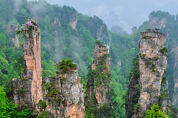 Image showing Zhangjiajie mountains, China