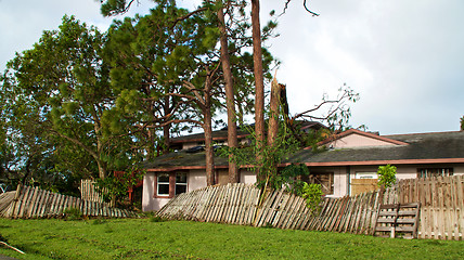 Image showing broken trees and fence after hurricane irma