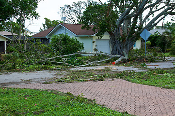 Image showing broken trees with house after hurricane 