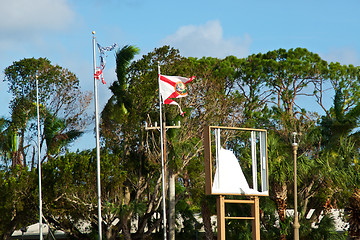 Image showing remains of Florida and US flags after hurricane 