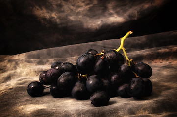 Image showing a bunch of black grapes  up close on gray studio backdrop