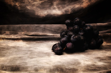 Image showing a bunch of black grapes on gray studio backdrop