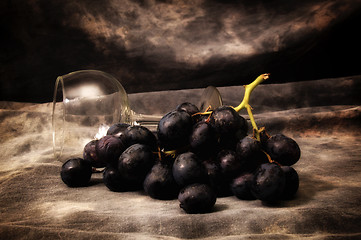 Image showing a bunch of black grapes with wineglass on gray studio backdrop