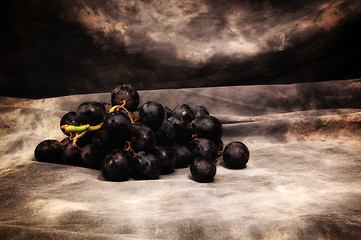 Image showing a bunch of black seedless grapes on gray studio backdrop