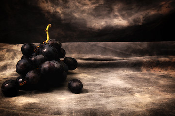 Image showing black seedless grapes on gray studio backdrop