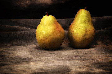 Image showing two ripe bosc pears on gray studio backdrop