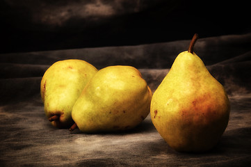 Image showing three large bosc  pears on gray studio backdrop