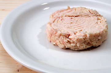 Image showing close up of canned tuna on plate