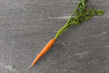Image showing close up of one carrot on table