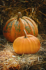 Image showing Pumpkins on a Hay