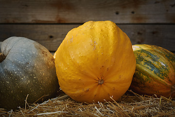 Image showing Pumpkins on a Hay