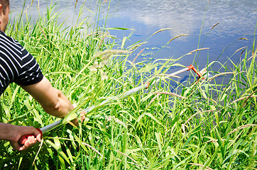 Image showing Take samples of water for laboratory testing. The concept - analysis of water purity, environment, ecology.