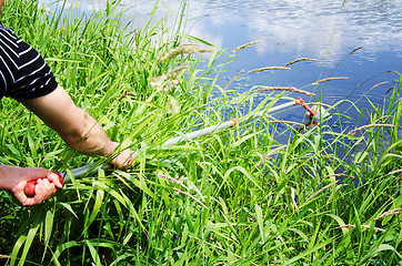 Image showing Take samples of water for laboratory testing. The concept - anal