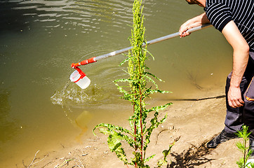 Image showing Take samples of water for laboratory testing. The concept - anal