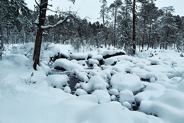 Image showing Winter Snowy Landscape