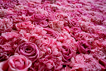 Image showing Natural roses background closeup