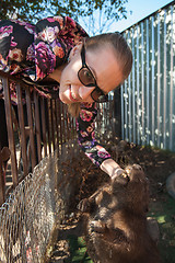 Image showing Young woman with beaver