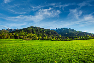 Image showing Alpine meadow in Bavaria, Germany