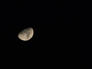 Image showing Gibbous Moon Isolated Against Black Night Sky