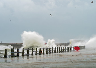 Image showing Waves Breaking at Newhaven Harbour