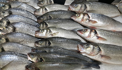 Image showing Fresh fish on ice for sale in market