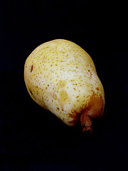 Image showing pear