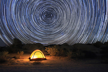 Image showing Joshua Tree National Park Star Trails