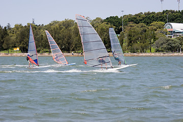 Image showing Racing Sailboards