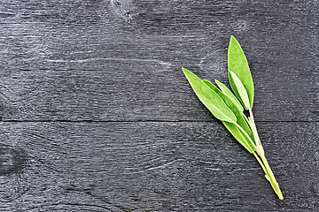 Image showing Sage leaves on black board