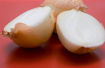 Image showing Onions