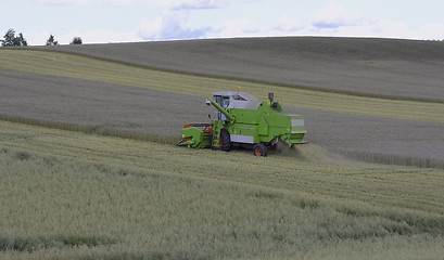 Image showing Harvesting. 