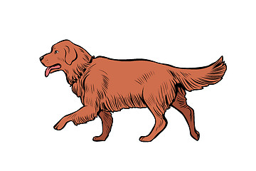 Image showing Golden Retriever dog